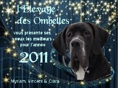 des Ombelles - Bonne année 2011